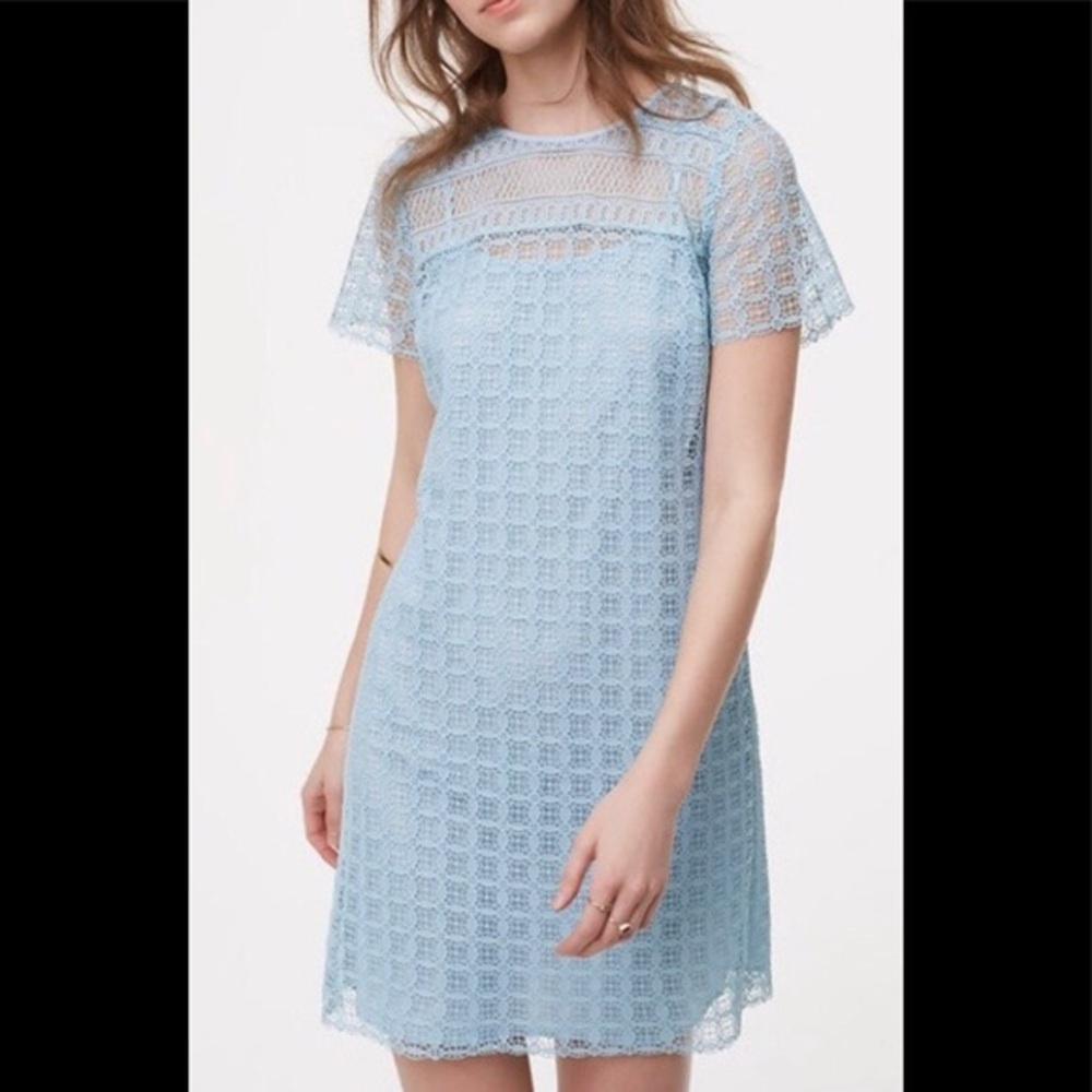 NWT Loft Mixed Lace Shift Dress Sz 4